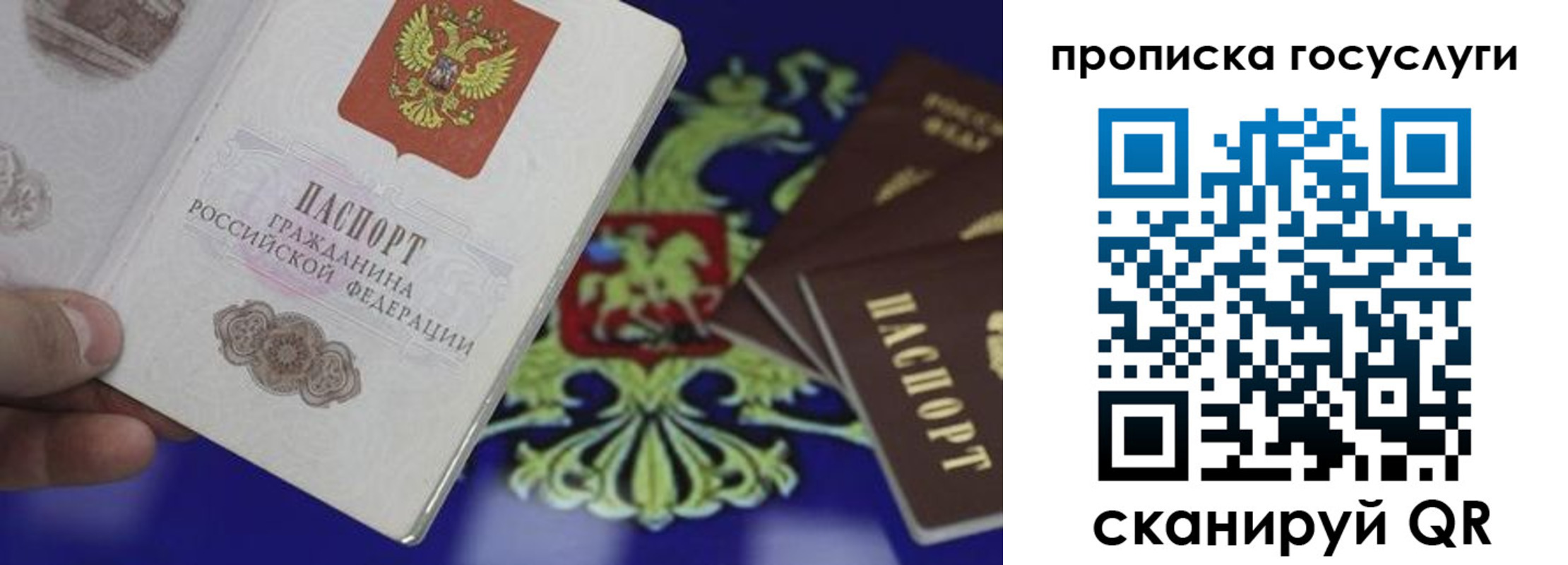 прописка для школы в Энгельсе